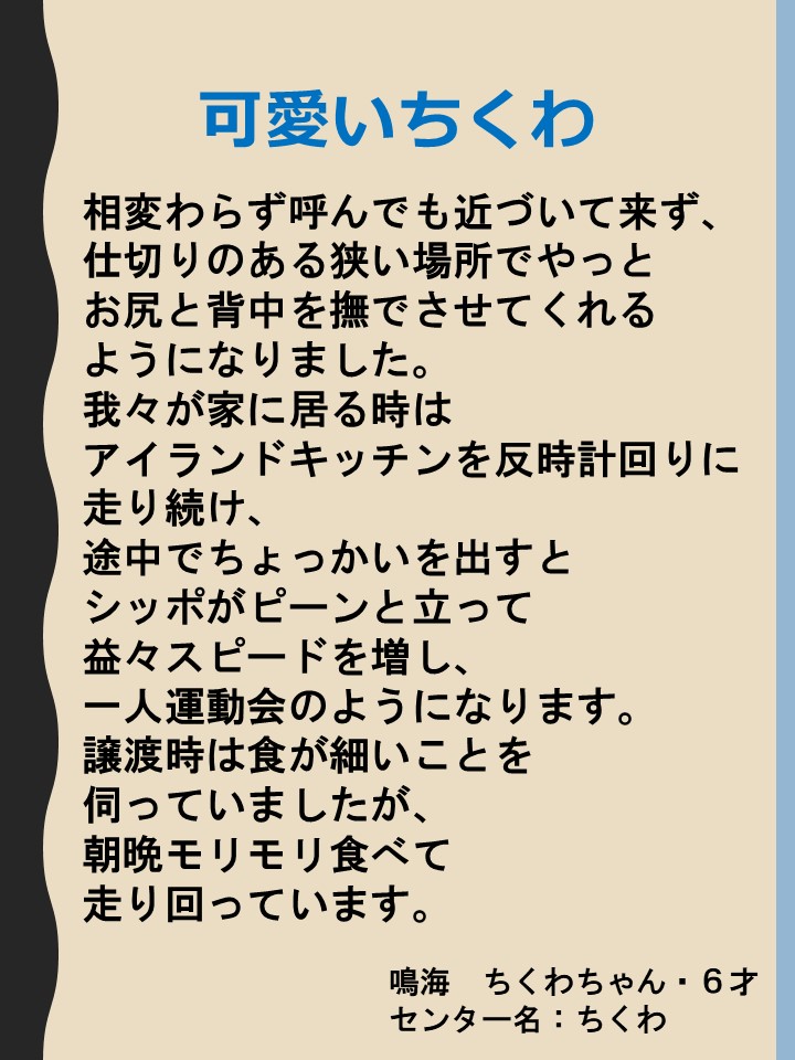  [149KB]