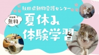 【参加者募集】小学生向け夏休み体験学習の開催について