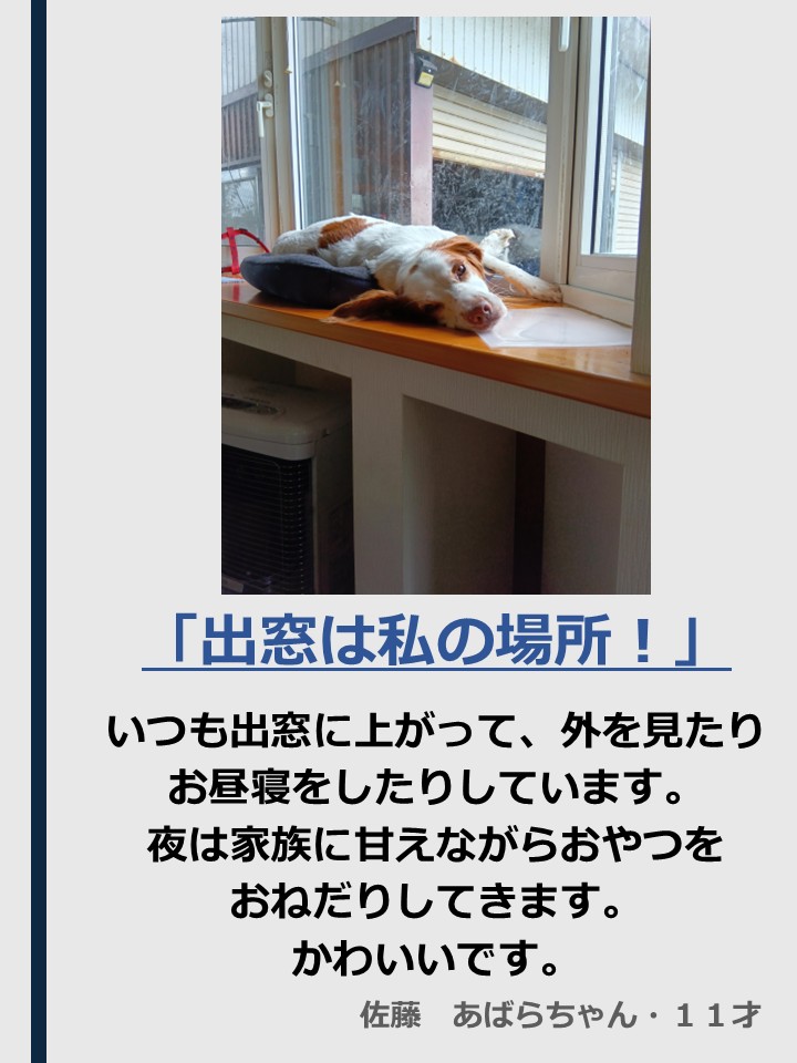  [118KB]