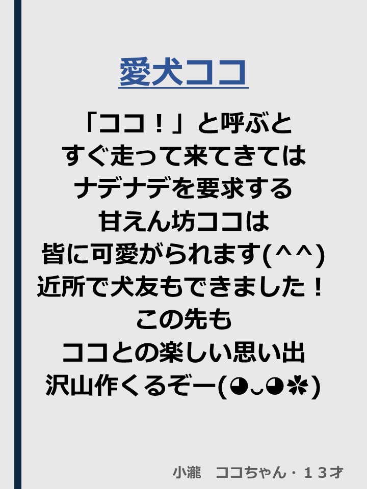  [104KB]