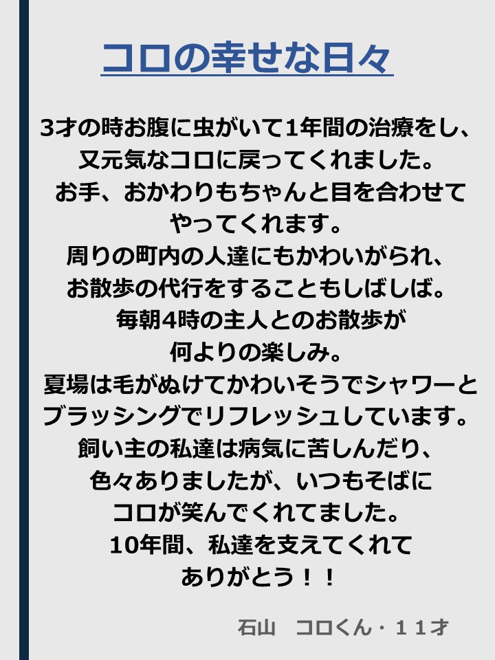  [154KB]