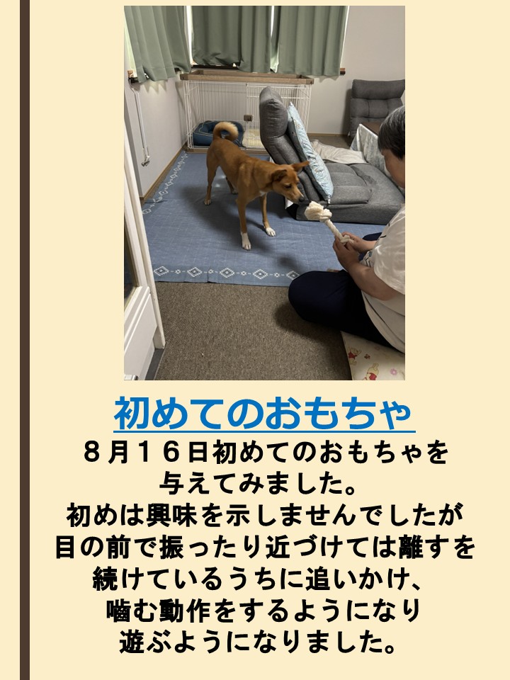  [149KB]