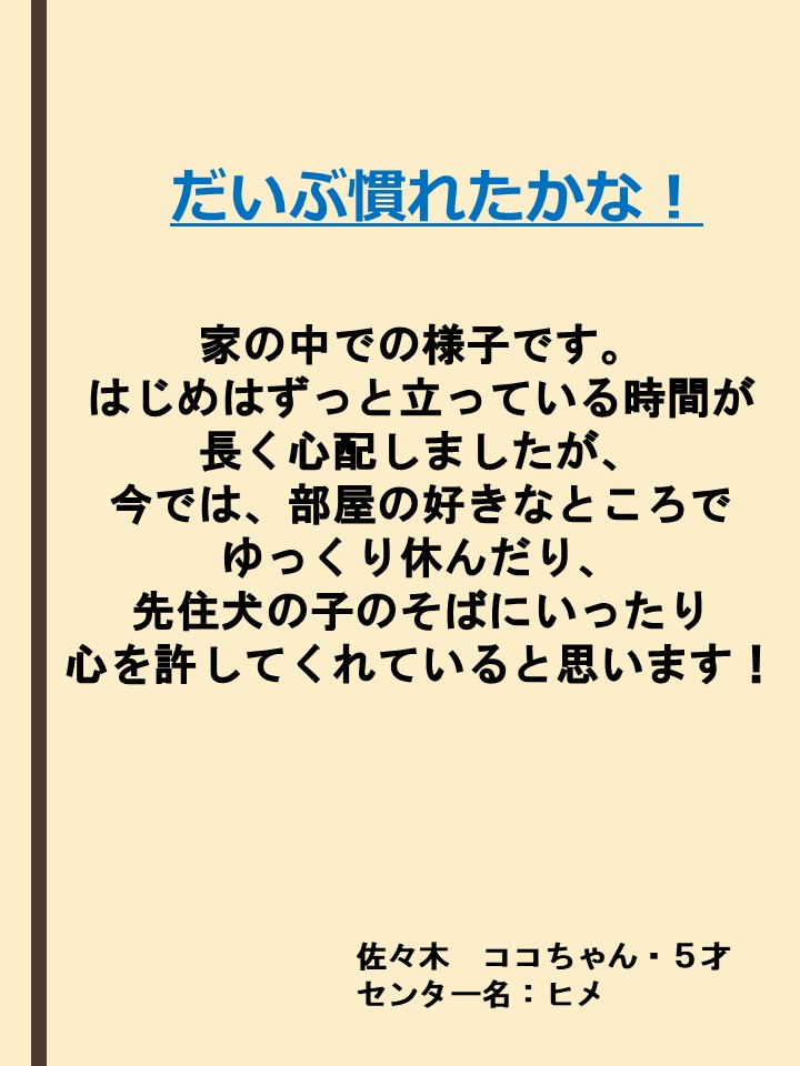  [107KB]