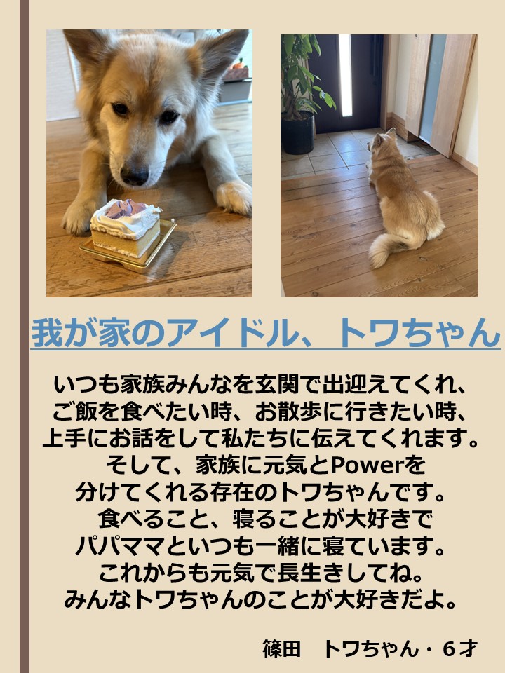  [182KB]