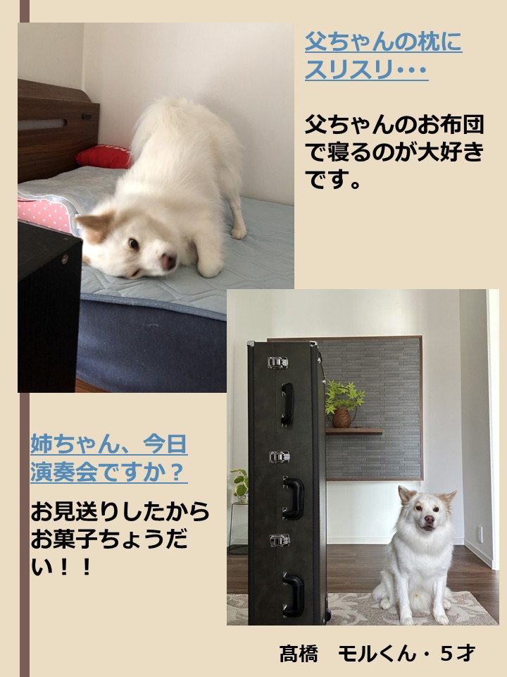  [117KB]