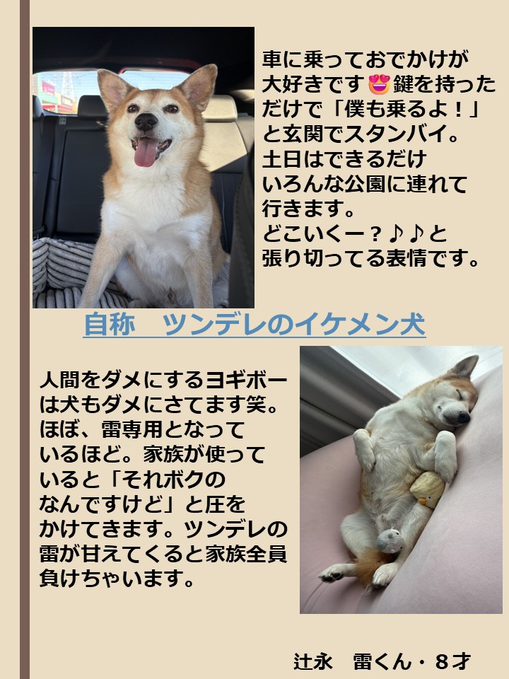  [172KB]